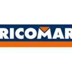 Logo Bricomart